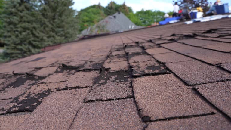 Best Rubber Roofing (EPDM, TPO)  in Roaming Shores, OH